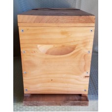 Nucleus Bee Box