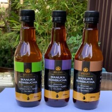 Manuka Kombucha (Mix Varieties) - 3 Bottles 