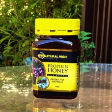 Propolis Honey 500g